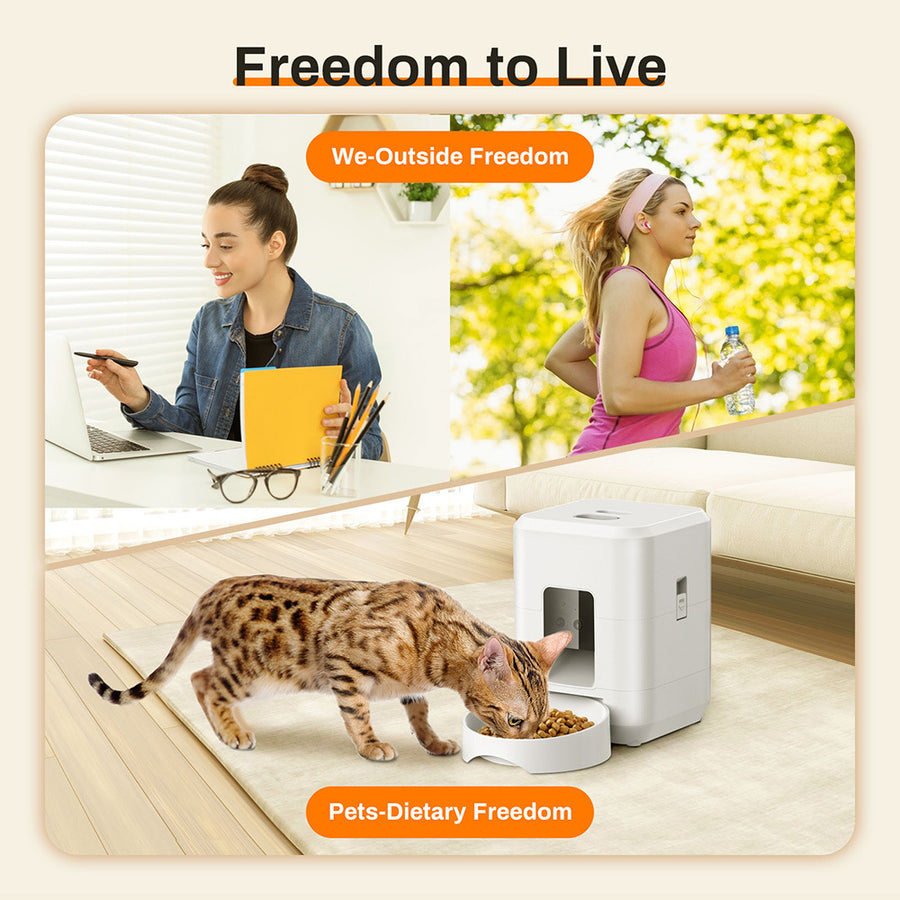 Smart WiFi Pet Feeder 2L before after